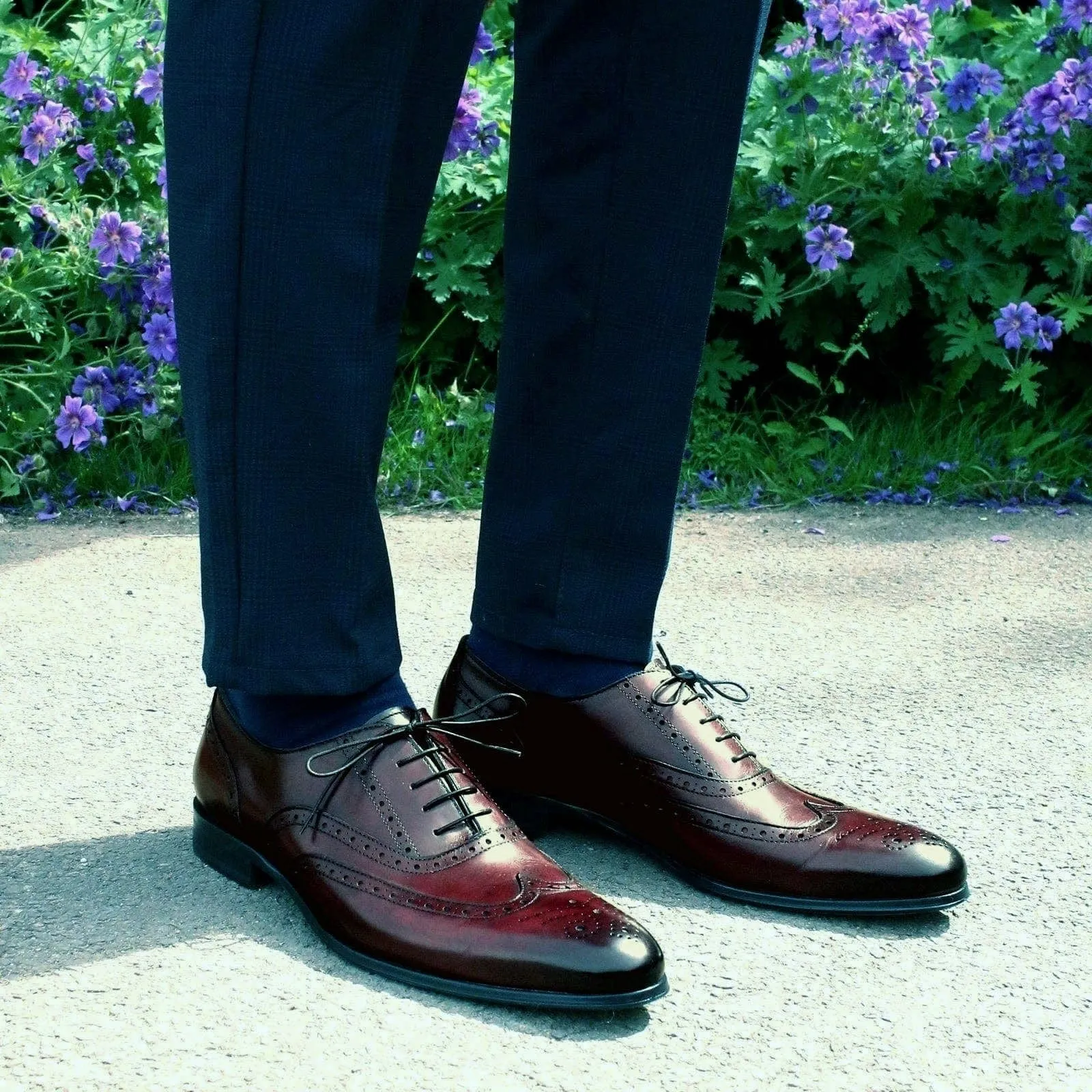 Cambridge Wingtip Oxford Brogue Oxblood