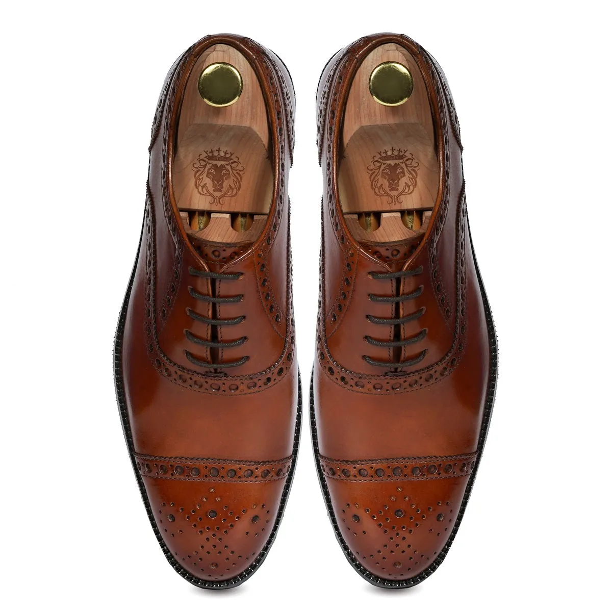 Punching Brogue Oxford Lace-Up Shoe For Men in Genuine Tan Leather