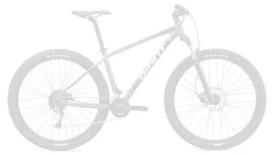 Talon 29er 2 Mountain Bike (2021)