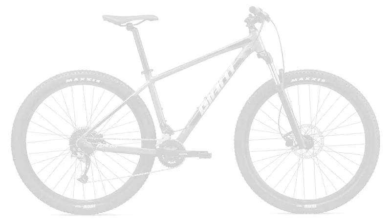 Talon 29er 2 Mountain Bike (2021)